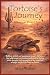 Tortoise's Journey by Mike Walker Tortoise's Journey by Mike Walker