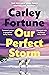 Our Perfect Storm