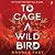 To Cage a Wild Bird (Divided Fates, #1)