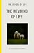 The Meaning of Life