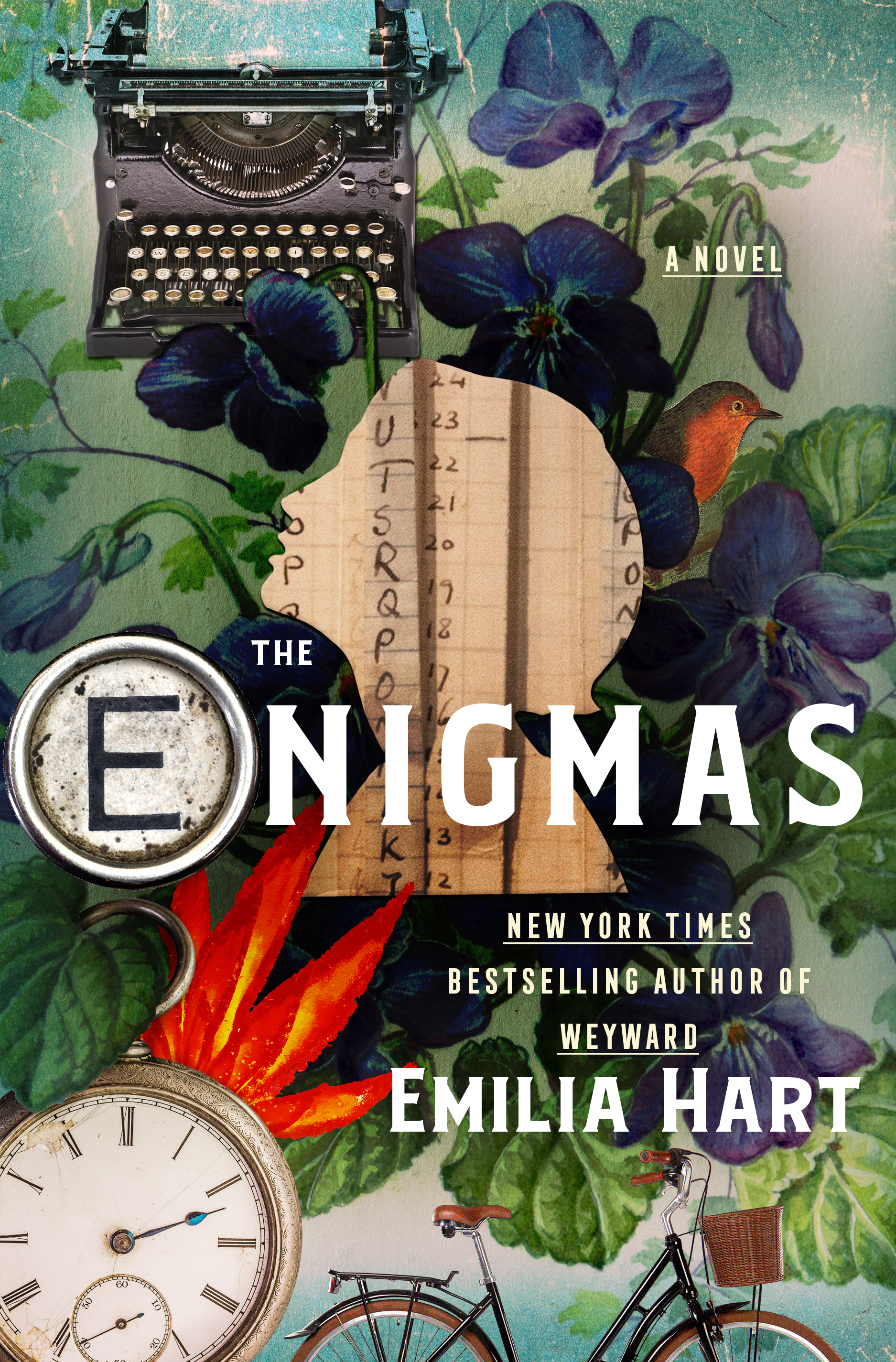 The Enigmas (Hardcover)