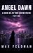 Angel Dawn by Max Feldman Angel Dawn by Max Feldman