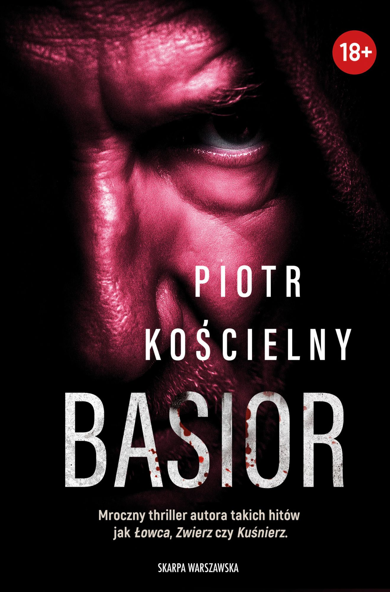 Basior (Komisarz Sikora, #8)