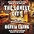 The Lonely City: Adventures in the Art of Being Alone