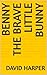 BENNY THE BRAVE LITTLE BUNNY