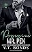 Possessive Mr. Pen by V T Bonds