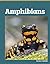 Amphibians (All About Animal Classification)