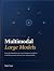 Multimodal Large Models