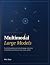 Multimodal Large Models