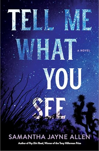 Tell Me What You See (Hardcover)