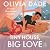 Tiny House, Big Love (Love Unscripted, #2)