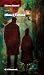 Nina e Tonino (Narrativa) (Italian Edition)