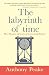 The Labyrinth of Time