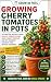 Cherry Tomatoes in Pots: Th...