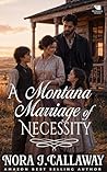 A Montana Marriag...