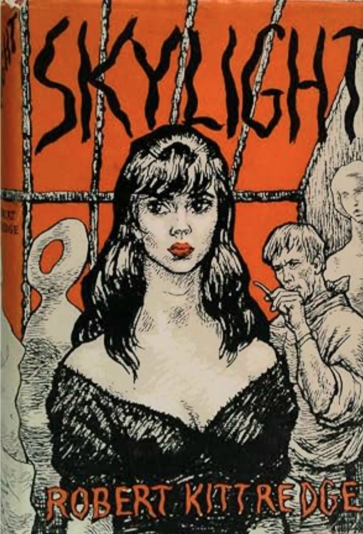 Skylight (Hardcover)