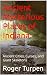 Ancient Mysterious Places of Indiana by Roger Edwin Turpen Ancient Mysterious Places of Indiana by Roger Edwin Turpen