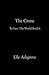 The Crone- To Save The World Book 6 (Tstw Black Cover Edition)