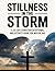 Stillness in the Storm: A 3...