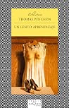 Un lento aprendizaje