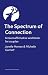 The Spectrum of Connection:...