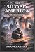 The Siloed America: How a B...
