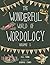 The Wonderful World of Wordology by Jill Young