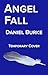 Angel Fall