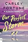 Our Perfect Storm