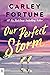 Our Perfect Storm