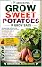 Sweet Potatoes in Grow Bags...