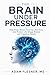 The Brain Under Pressure by Adam Flesner