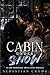 CABIN UNDER SNOW: An MM Sno...