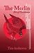 The Merlin: Art of Resistance
