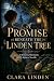 A Promise Beneath the Linde...