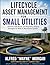 Lifecycle Asset Management ...