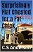 Surprisingly Flat Chested f...