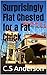 Surprisingly Flat Chested for a Fat Chick by C.S Anderson