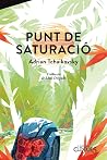 Punt de saturació