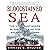 Bloodstained Sea: The U.S.C...