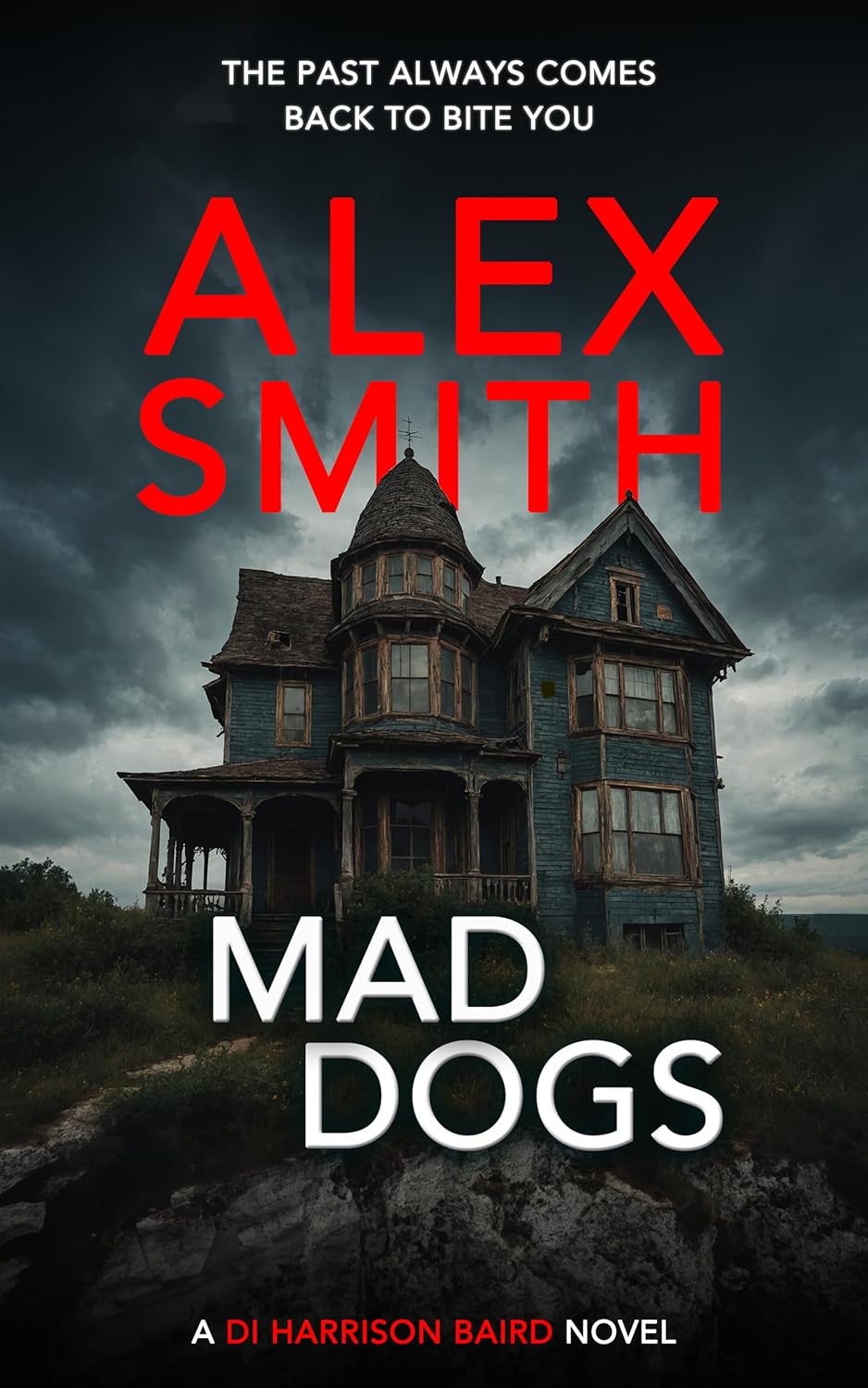 Mad Dogs: A British Crime Thriller (DI Harrison Baird Crime Thrillers Book 3)