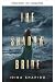 La novia de las sombras (Misterios Históricos de Nicole Rayburn nº 3) (Spanish Edition)