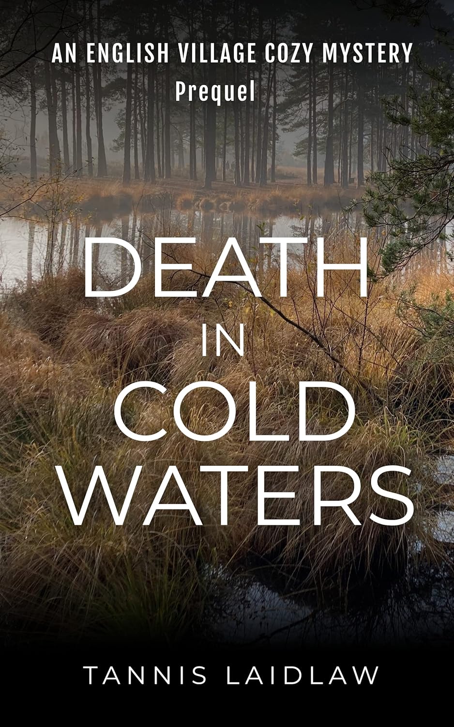Death in Cold Waters (Madeleine Brooks Mystery, #0.75)