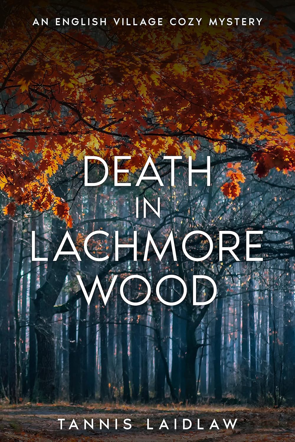 Death in Lachmore Wood (Madeleine Brooks Mysteries #3)