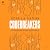 Codebreakers: A Wordhunter Mystery (A Wordhunter Mystery)