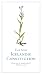 The New Icelandic Constitution, 2nd edition
