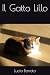 Il Gatto Lillo