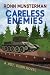 Careless Enemies (Sgt. Dunn Novels Book 22)