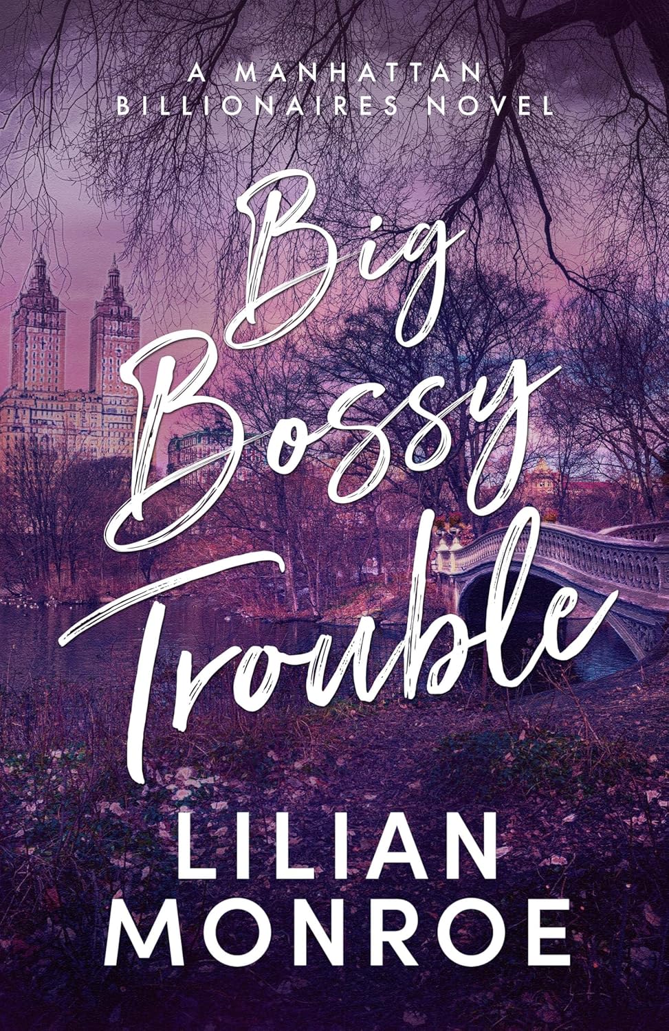 Big Bossy Trouble (Manhattan Billionaires #2)