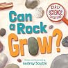Can a Rock Grow?